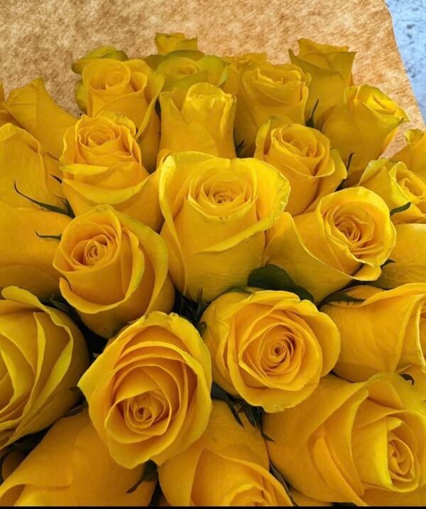Yellow roses